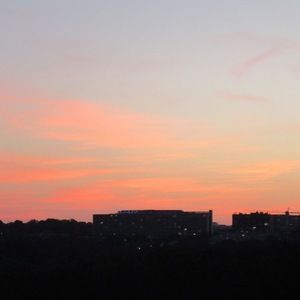 Meet your Posher, Ella